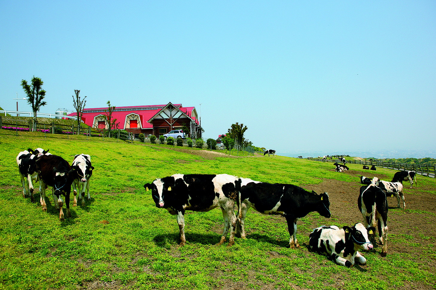 ABURAYAMA FUKUOKA（旧 もーもーらんど油山牧場）