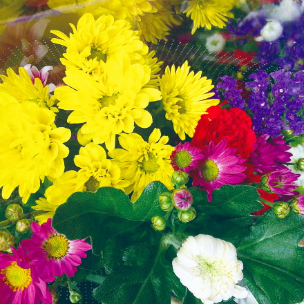 園内の花