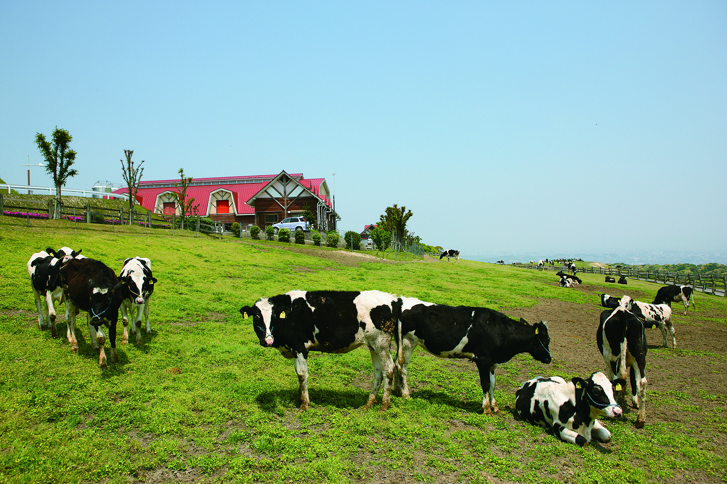 ABURAYAMA FUKUOKA（旧 もーもーらんど油山牧場）