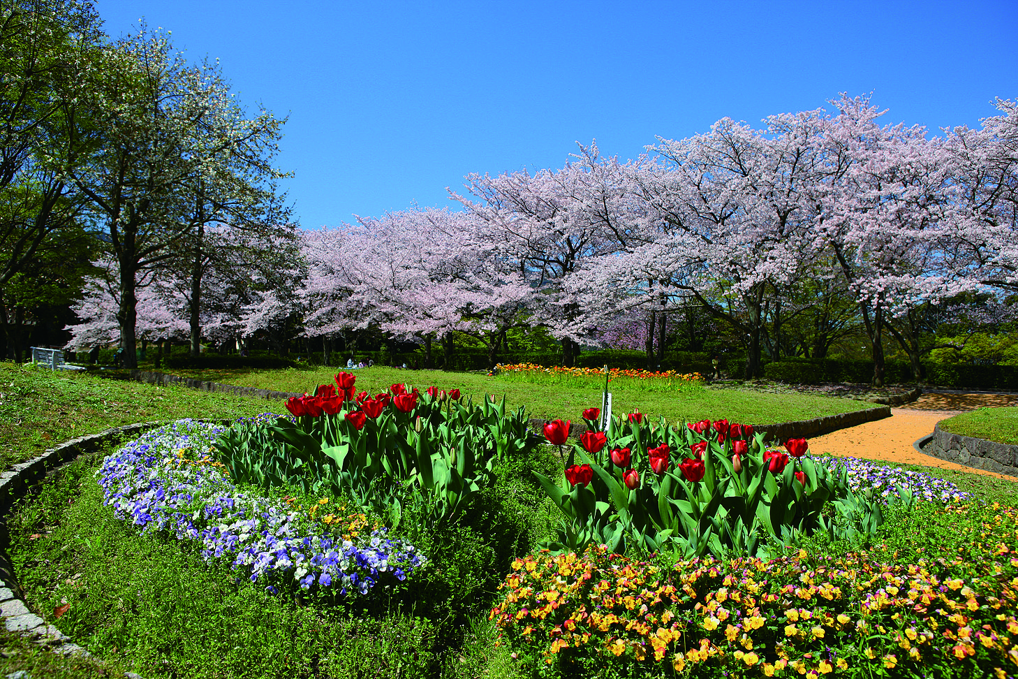 花畑園芸公園